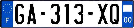 GA-313-XQ
