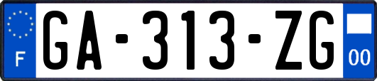 GA-313-ZG