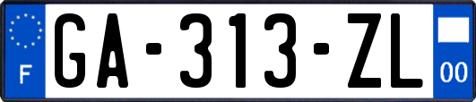 GA-313-ZL