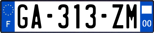 GA-313-ZM