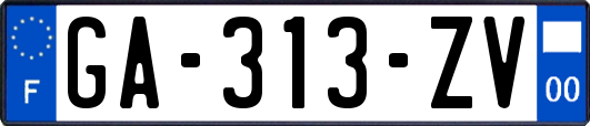 GA-313-ZV