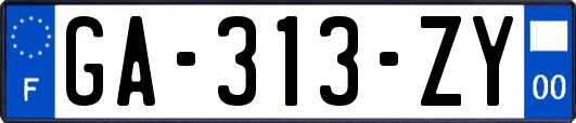 GA-313-ZY