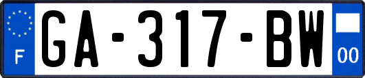 GA-317-BW