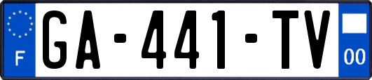 GA-441-TV