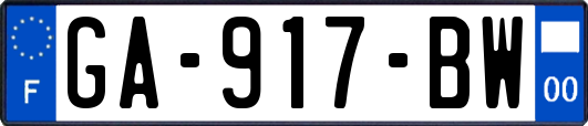 GA-917-BW