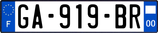 GA-919-BR