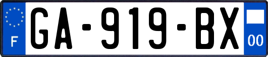 GA-919-BX