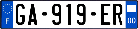 GA-919-ER