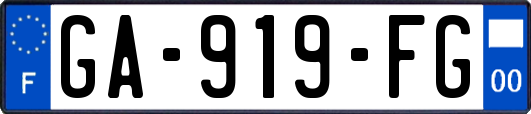 GA-919-FG