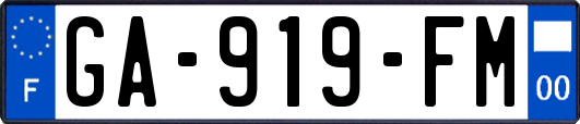 GA-919-FM