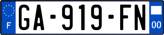 GA-919-FN
