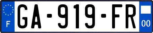 GA-919-FR