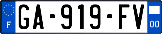 GA-919-FV