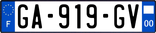 GA-919-GV