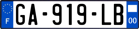 GA-919-LB