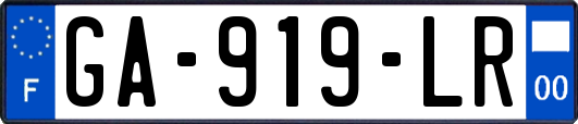 GA-919-LR