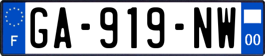 GA-919-NW