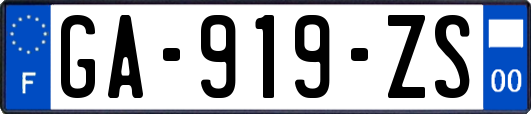GA-919-ZS