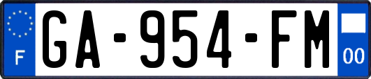 GA-954-FM