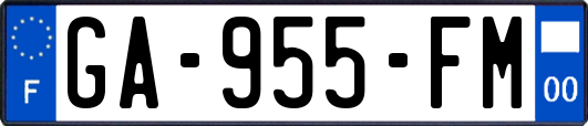 GA-955-FM