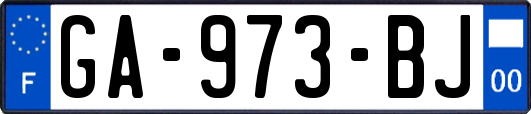 GA-973-BJ