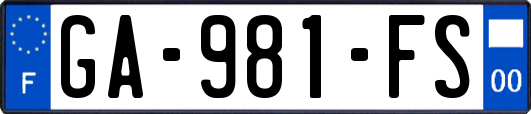 GA-981-FS