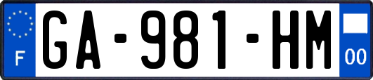 GA-981-HM
