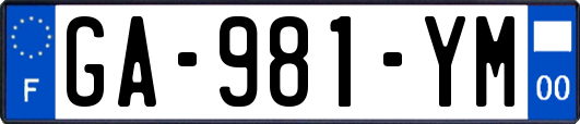 GA-981-YM