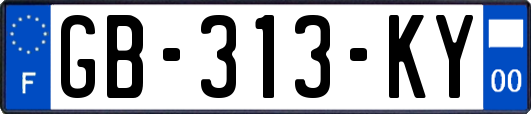 GB-313-KY