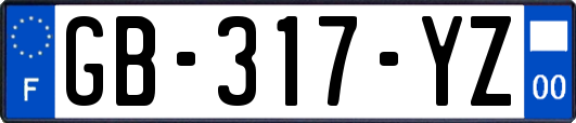 GB-317-YZ