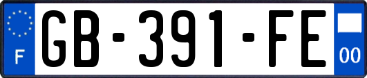 GB-391-FE