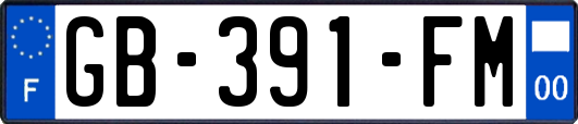 GB-391-FM