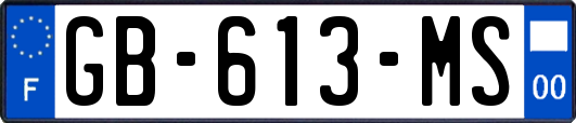 GB-613-MS