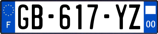 GB-617-YZ