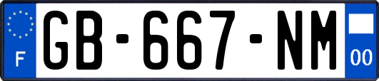 GB-667-NM