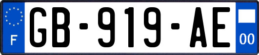 GB-919-AE