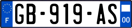 GB-919-AS