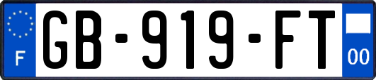 GB-919-FT