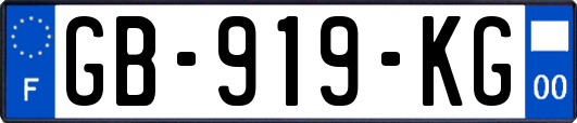 GB-919-KG