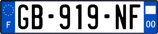 GB-919-NF