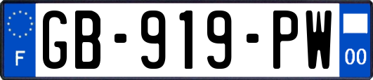 GB-919-PW