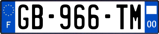 GB-966-TM