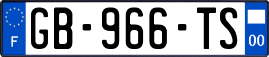 GB-966-TS