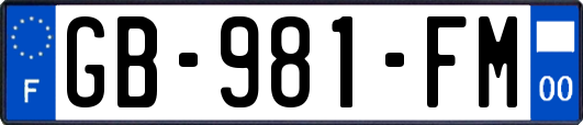 GB-981-FM