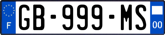 GB-999-MS