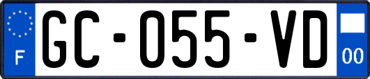 GC-055-VD
