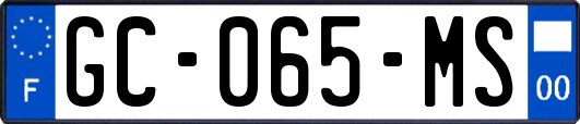 GC-065-MS