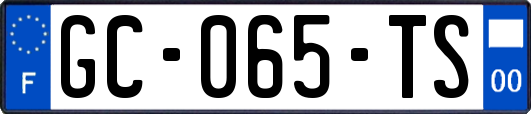GC-065-TS