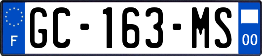 GC-163-MS