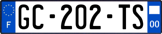 GC-202-TS